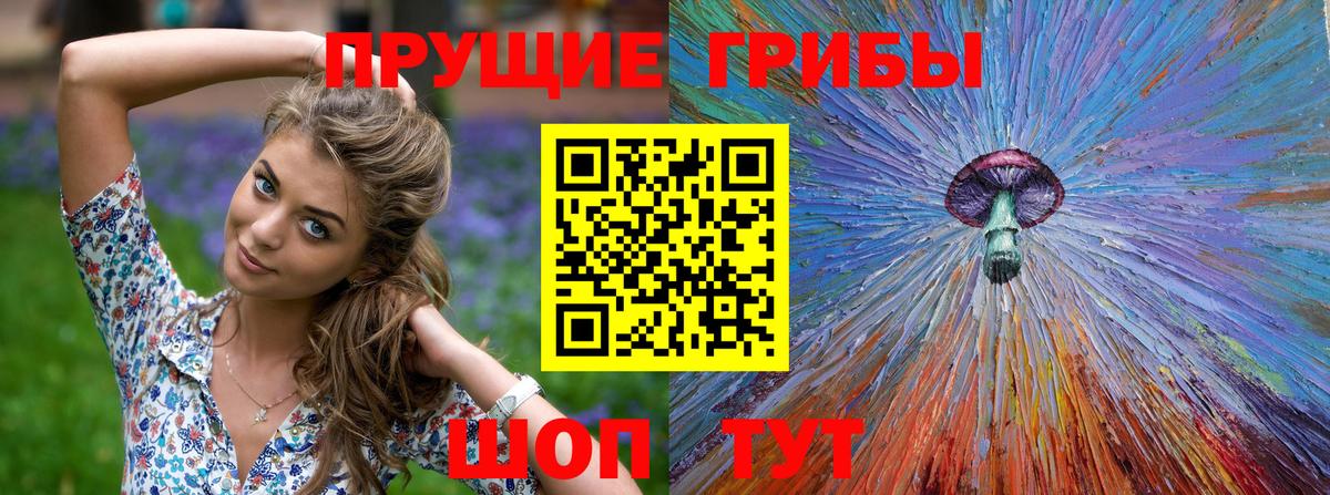 Галлюциногенные грибы Psilocybe  Галлюциногенные грибы Psilocybe  Лесозаводск  Вход с VPN 